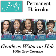 Just 5 Permanent Hair Color